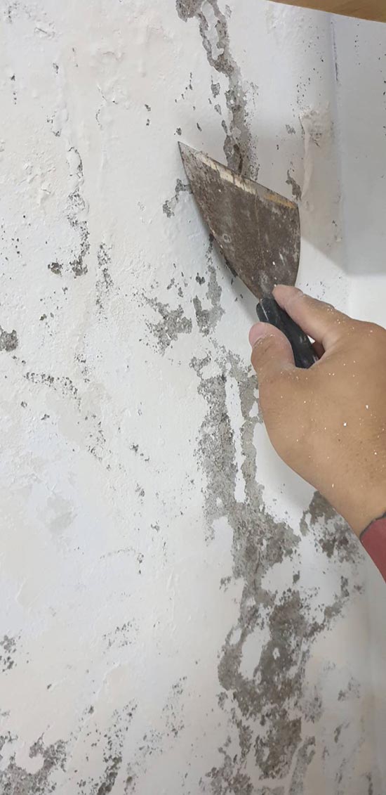 �x�������B�z