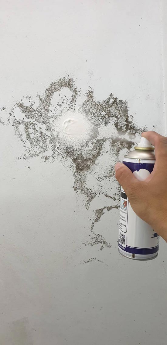 �x�������B�z