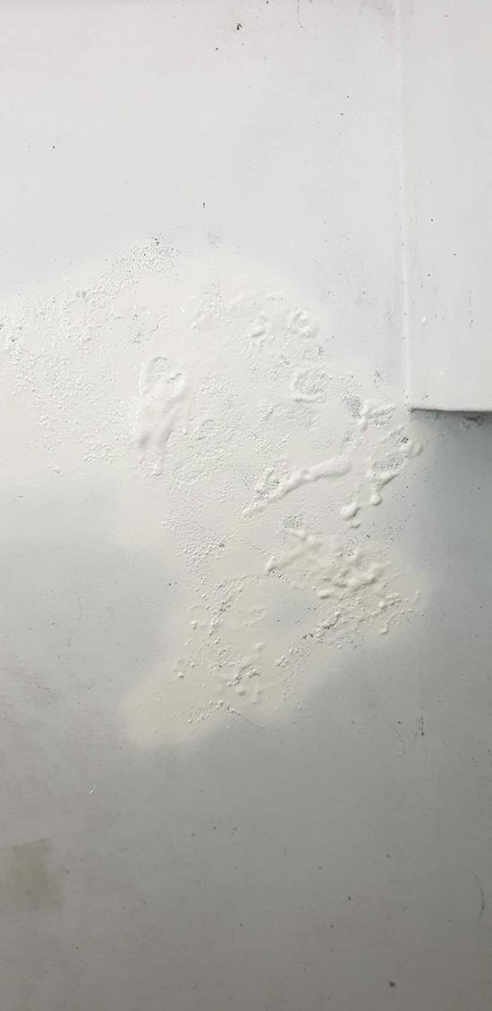 �x�������B�z